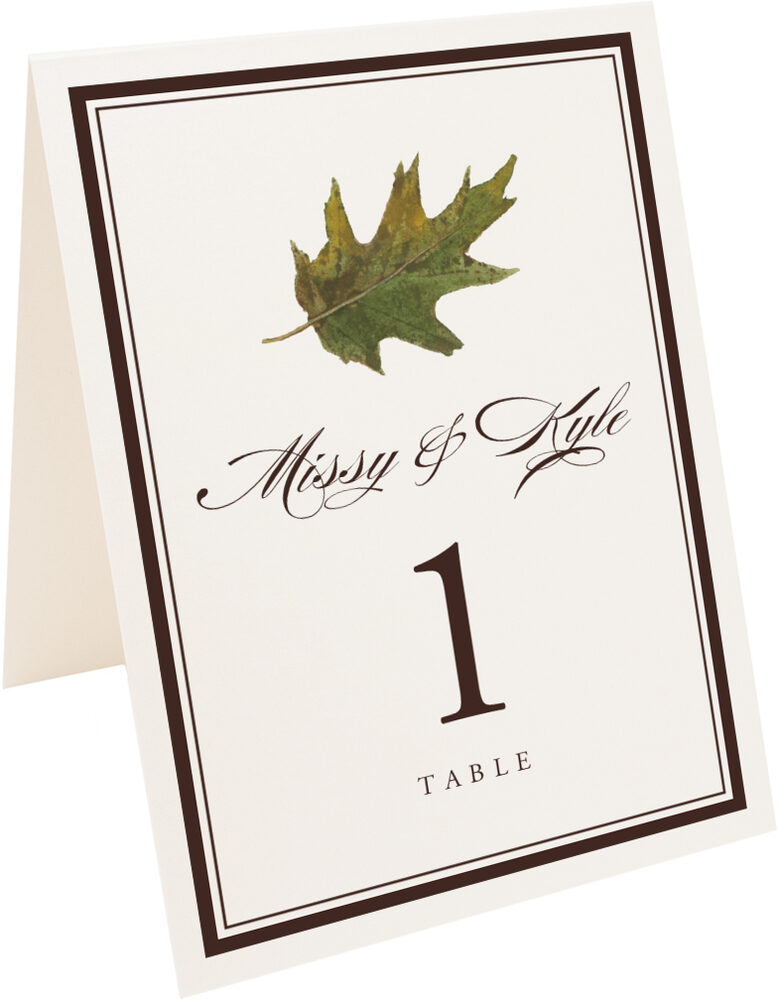 Photograph of Tented Colorful Leaves Assortment 01 Table Numbers