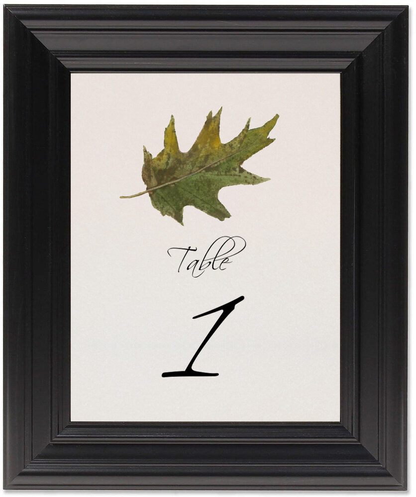 Framed Photograph of Colorful Leaves Assortment 02 Table Numbers