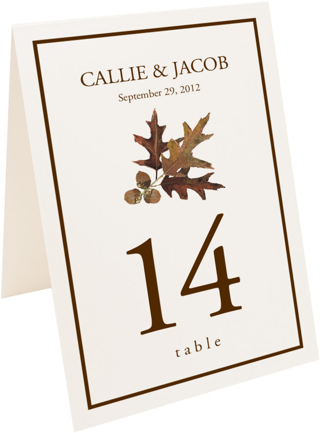 Photograph of Tented Oak and Acorn Table Numbers