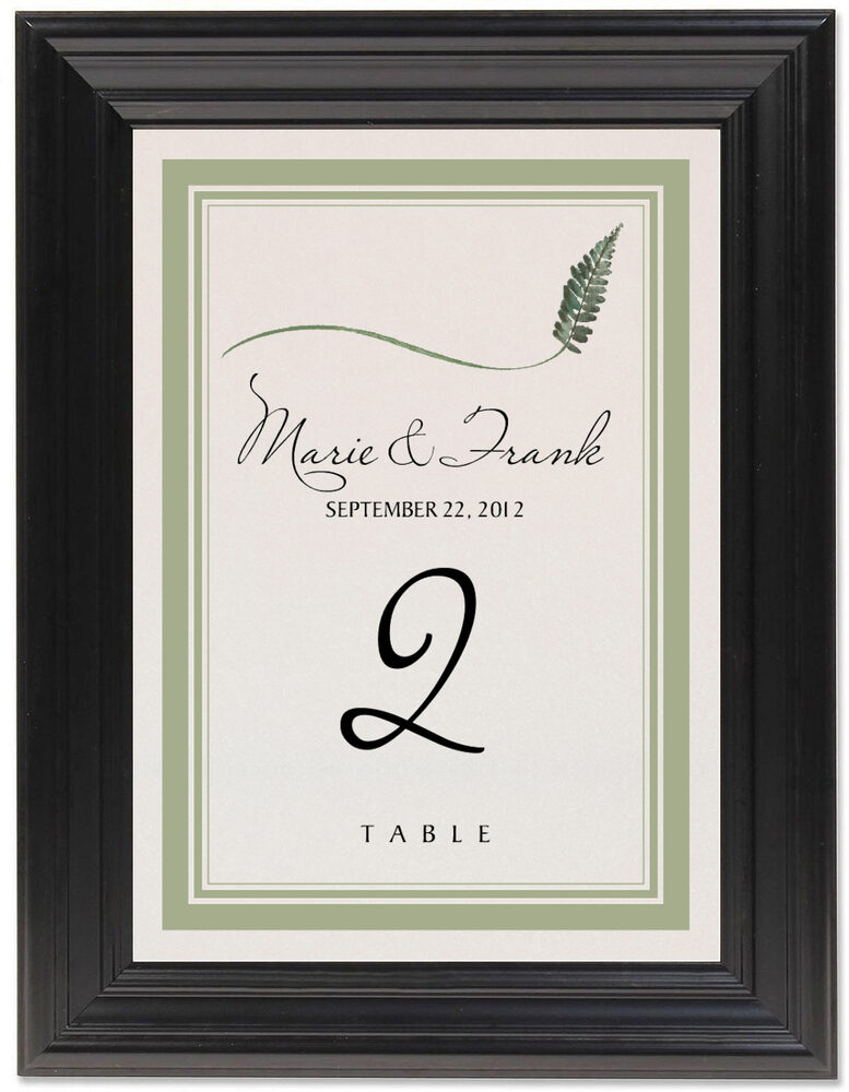 Framed Photograph of Wispy Leaves Table Numbers