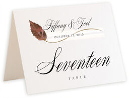 Photograph of Tented Ironwood Wispy Leaf Table Numbers