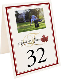 Photograph of Tented Fall in Love Table Numbers