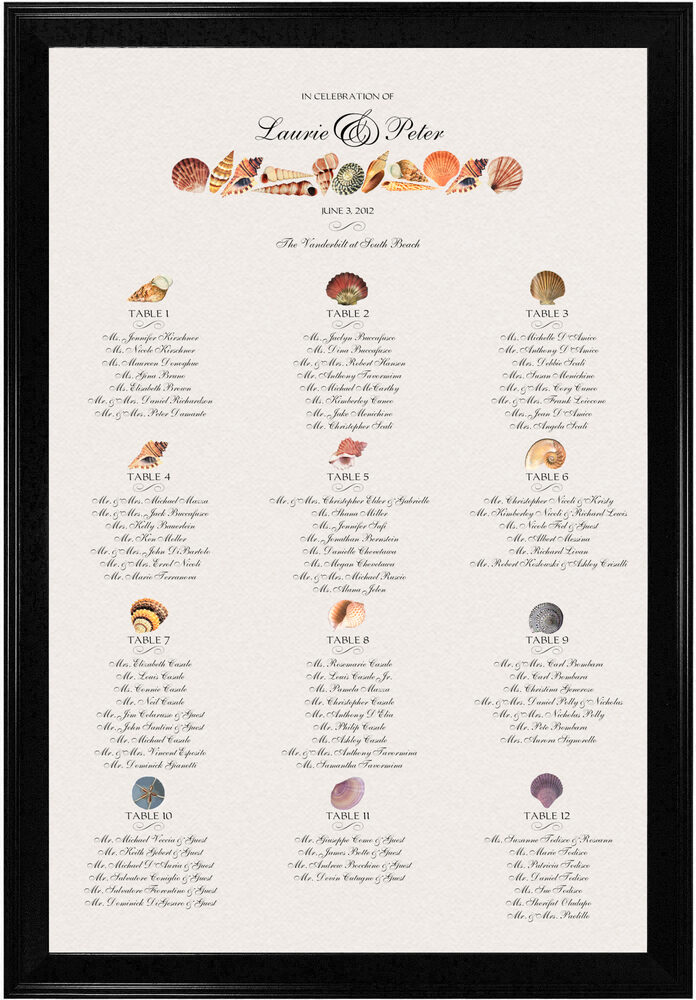 Photograph of Assorted Seashell Seating Charts
