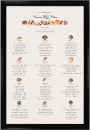 Photograph of Assorted Seashell Seating Charts
