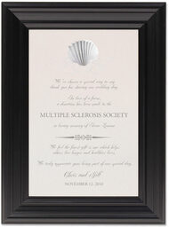 Framed Photograph of Seashell Flourish 07 Donation Cards