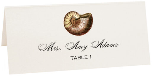 Photograph of Tented Antique Seashell Collector Place Cards