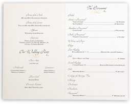 Photograph of Seashell Pattern 09 Wedding Programs