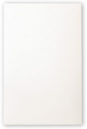 Photograph of Seashell Scallop Swirl Wedding Programs