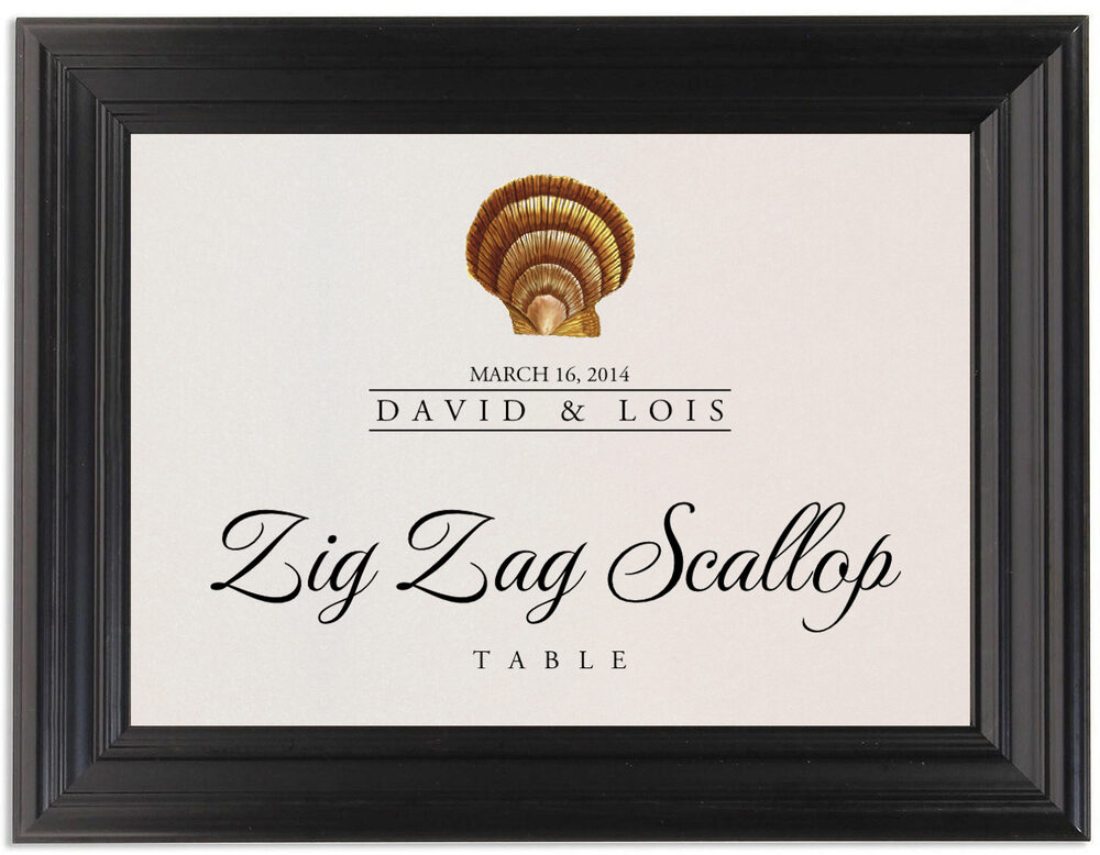 Framed Photograph of Seashell Assortment Table Names