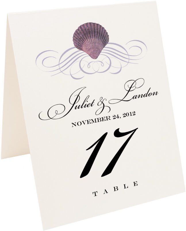 Photograph of Tented Seashell Scallop Swirl Table Numbers