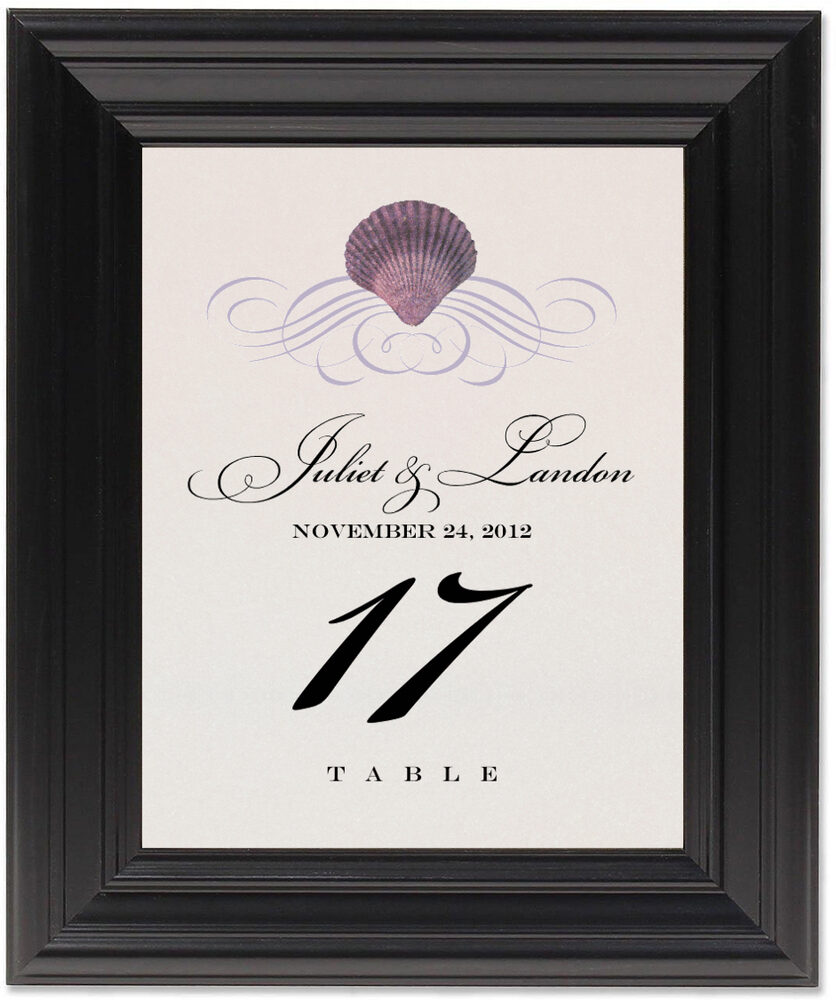 Framed Photograph of Seashell Scallop Swirl Table Numbers