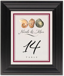 Framed Photograph of Conch Pattern Table Numbers