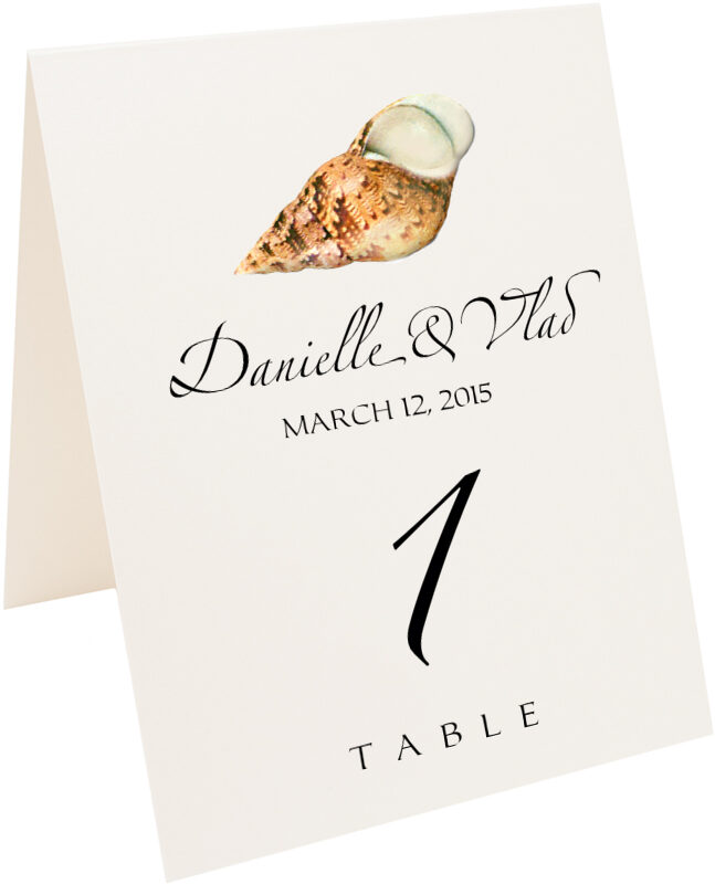 Photograph of Tented Seashell Assortment 02 Table Numbers