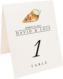 Photograph of Tented Seashell Assortment Table Numbers