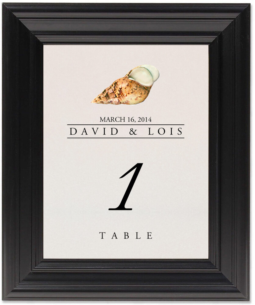 Framed Photograph of Seashell Assortment Table Numbers