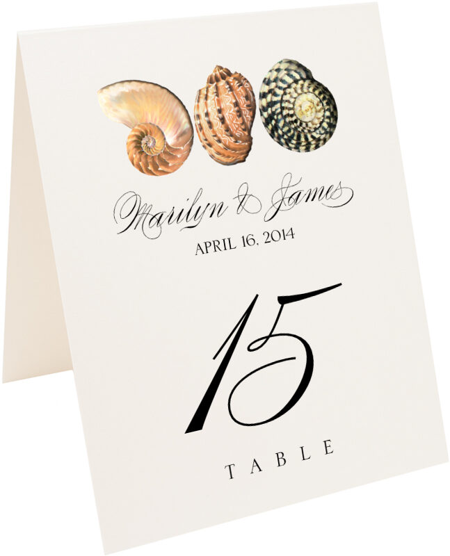 Photograph of Tented Seashell Pattern 01 Table Numbers
