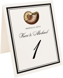 Photograph of Tented Antique Seashell Collector Table Numbers