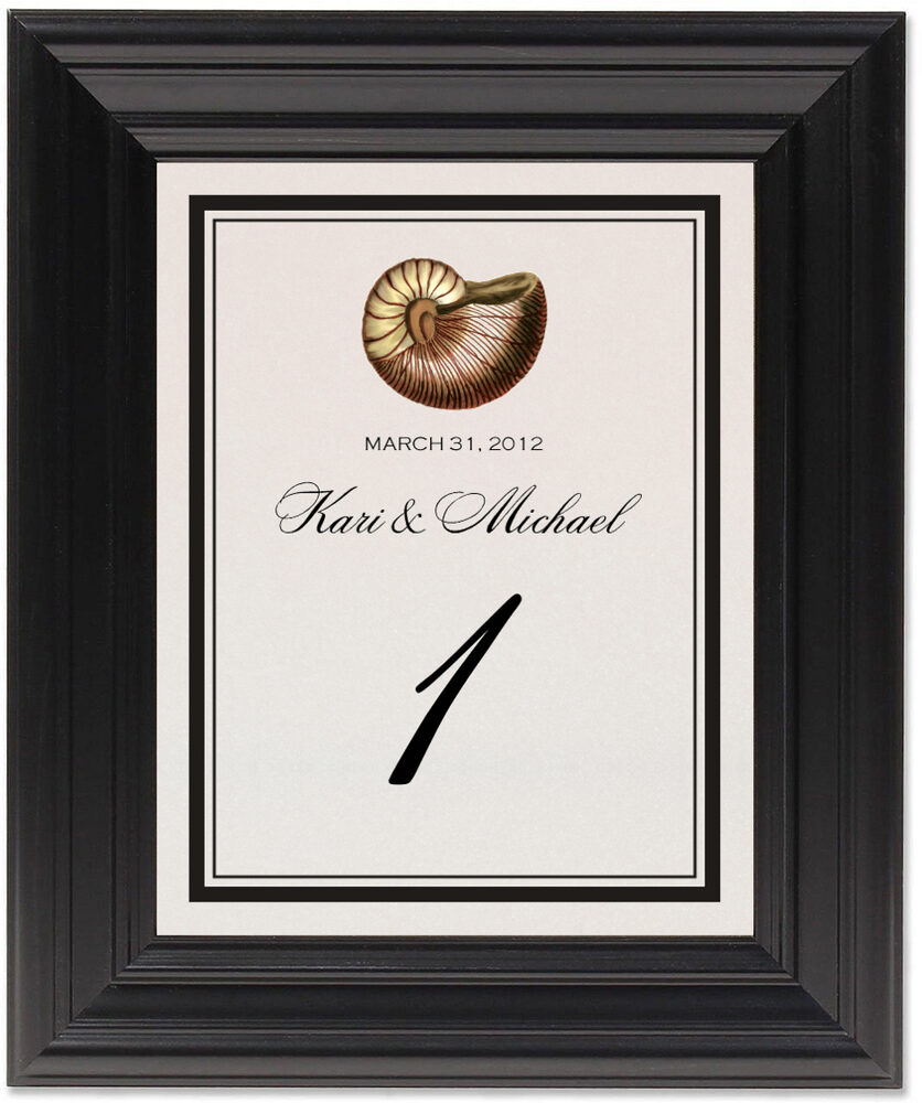 Framed Photograph of Antique Seashell Collector Table Numbers