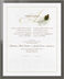 Photograph of Peacock Feather Flourish Wedding Certificates