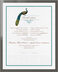 Photograph of Peacock Flourish Wedding Certificates