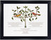 Photograph of Two Red Birds on a Tree Wedding Certificates