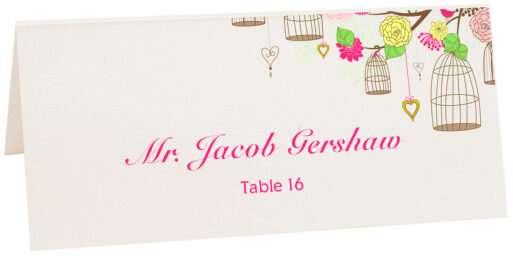 Photograph of Tented Bird Cages Place Cards