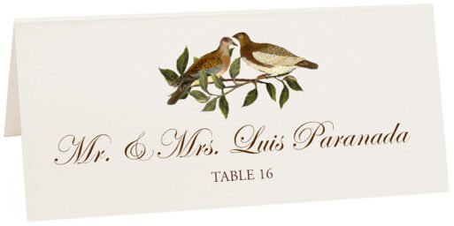 Photograph of Tented Brown Birds Place Cards