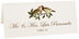 Photograph of Tented Brown Birds Place Cards