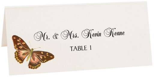 Photograph of Tented Butterfly Assortment Place Cards