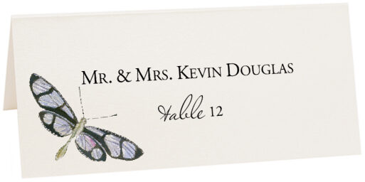 Photograph of Tented Dragonflies Place Cards