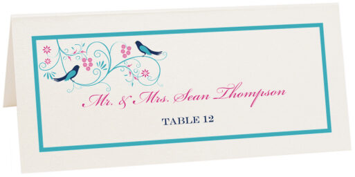 Photograph of Tented Leah and Luna Place Cards