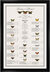 Photograph of Butterfly Collector Seating Charts