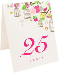 Photograph of Tented Bird Cages Table Numbers