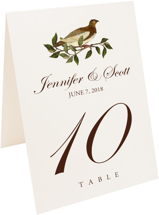 Photograph of Tented Brown Birds Table Numbers