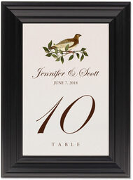 Framed Photograph of Brown Birds Table Numbers