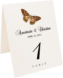 Photograph of Tented Butterfly Assortment Table Numbers
