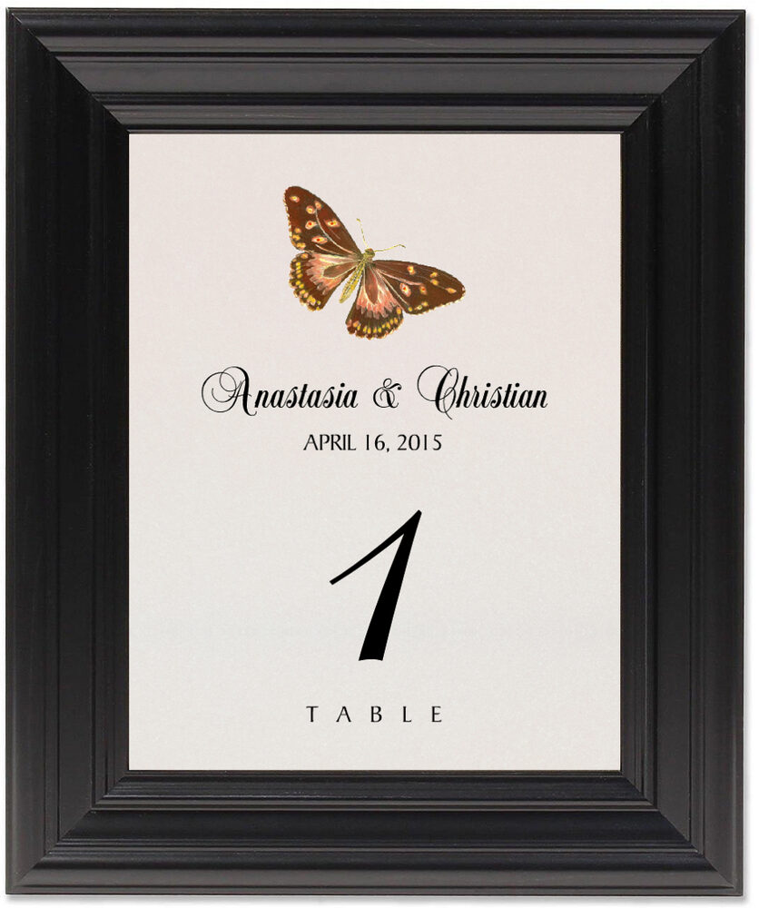 Framed Photograph of Butterfly Assortment Table Numbers