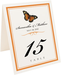 Photograph of Tented Butterfly Wishes Table Numbers