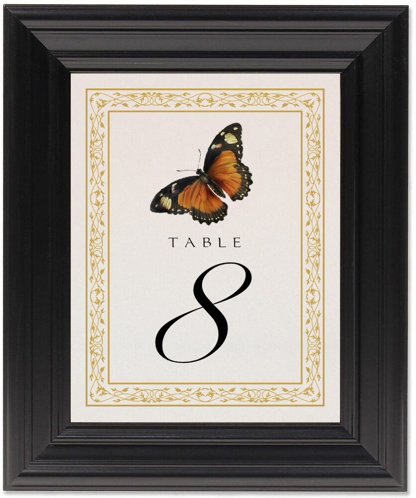 Framed Photograph of Monarch Butterfly Table Numbers