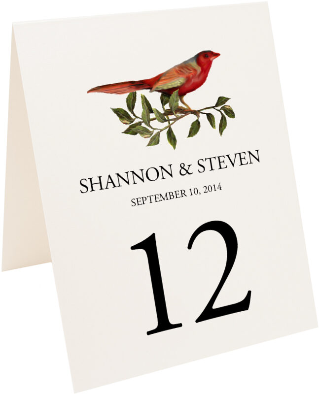 Photograph of Tented Red Bird 01 Table Numbers