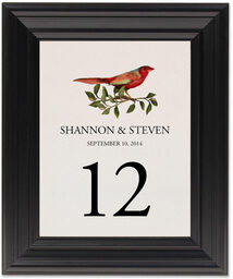 Framed Photograph of Red Bird 01 Table Numbers