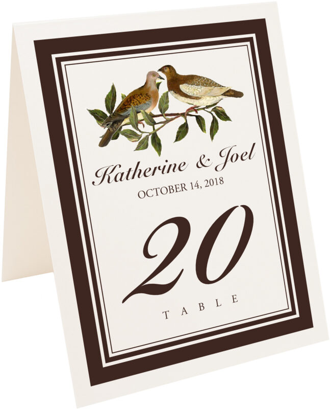 Photograph of Tented Two Brown Birds Table Numbers