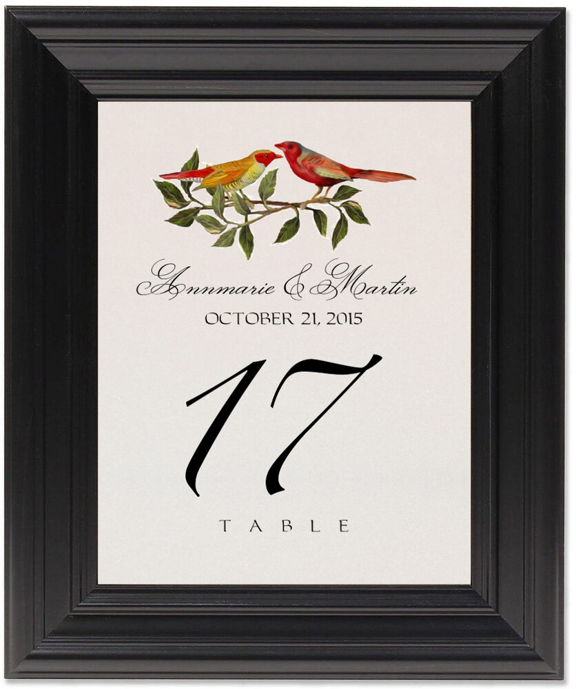 Framed Photograph of Two Red Birds Table Numbers