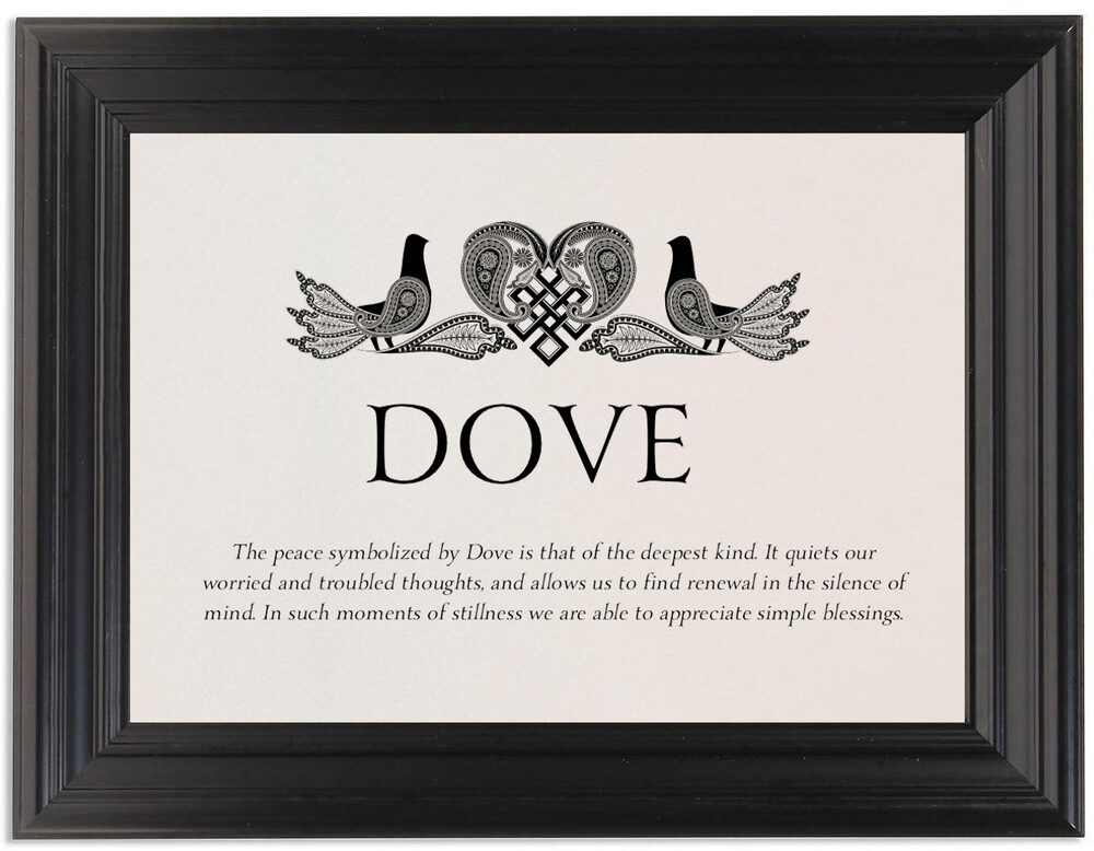Framed Photograph of Love Dove Memorabilia Cards
