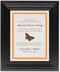 Framed Photograph of Butterfly Wishes Donation Cards