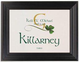 Framed Photograph of Wispy Shamrock Table Names