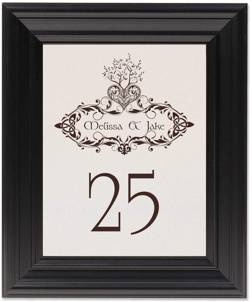 Framed Photograph of Bailey's Tree of Life Table Numbers