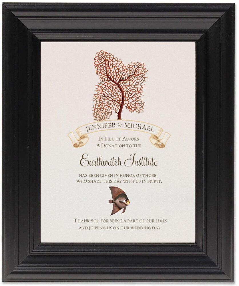 Framed Photograph of Coral Tree Donation Cards