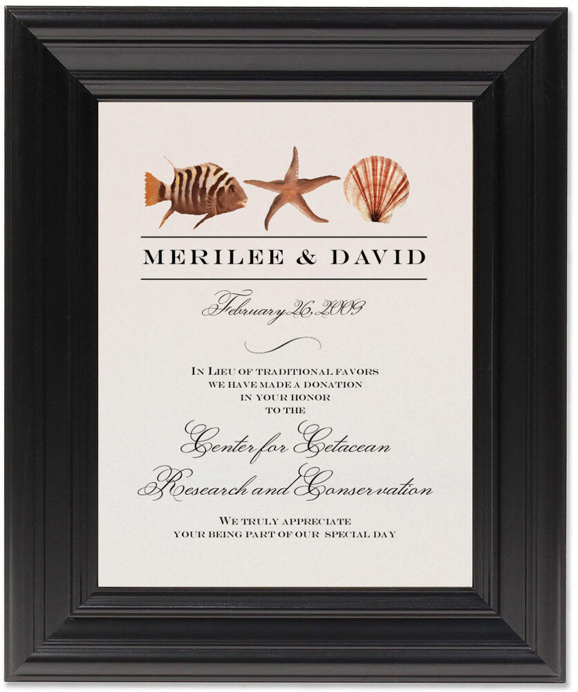 Framed Photograph of Fish and Seashell Pattern 10 Donation Cards