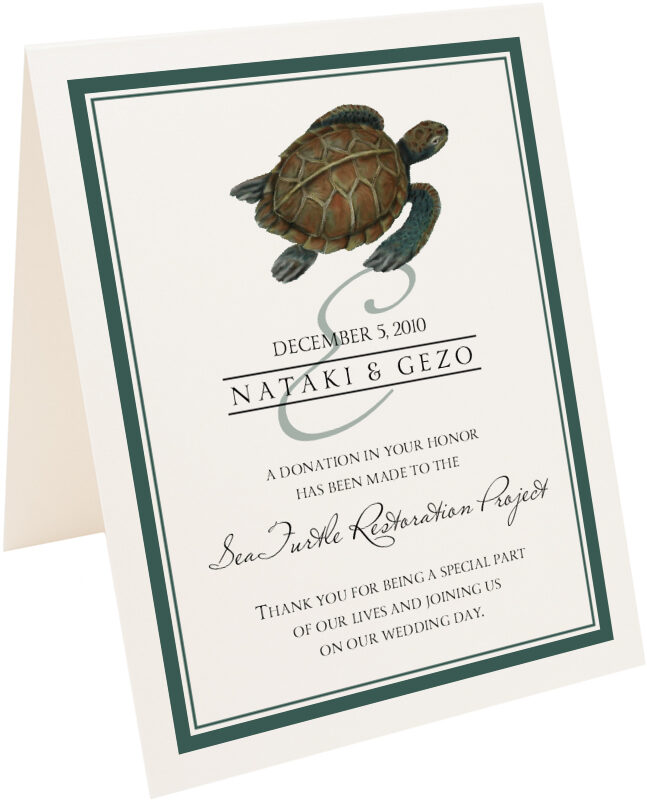 Photograph of Tented Sea Turtle Donation Cards